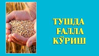 Туш табири - Тушда Галла куриш