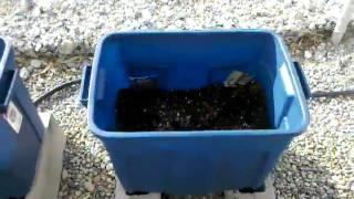 Container Gardening