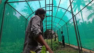 Building a Arch Greenhouse | Arch Greenhouse fabrication | MS Greenhouse structure | GOA