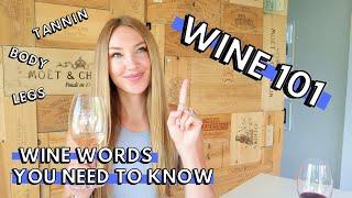 WINE 101 // 15 WINE WORDS you NEED to know!