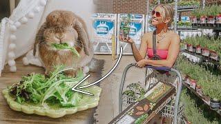 Planting a Garden for My Rabbit (Part One)
