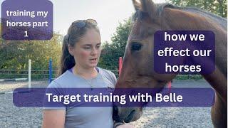 Target training with Belle | A morning training my horses part 1