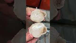 Day 22 of 31 Days of Possible GEODES