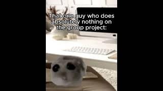 That One Guy On the Group Project #joseph47 #subscribe #meme #hamster #school #funny #roblox