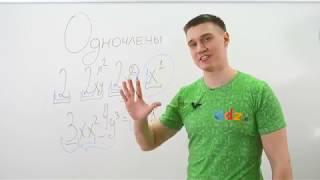 Алгебра 7 класс. Видеоурок по теме "Одночлены" от GDZ.ru