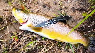 Trout fishing with a Rapala minnow