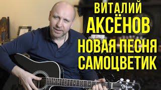 Новая песня Виталия Аксёнова «Самоцветик»,  «Шофёрская стезя», «Ремешок» специально для Ребо Групп