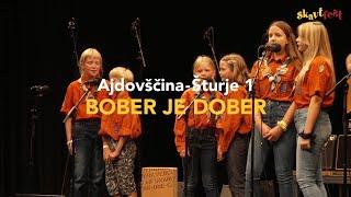 Ajdovščina-Šturje 1 - BOBER JE DOBER (Skavtfest 2020/21)