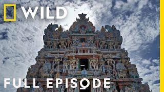 Modern and Mystic (Full Episode) | India From Above | Nat Geo Wild