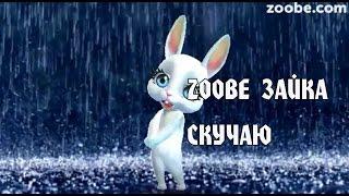 Zoobe Зайка, Скучаю!