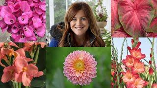 5 Popular Bulbs You Can Plant Now for Gorgeous Summer Color!  // Garden Answer