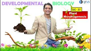 CSIR NET JUNE 2025 I Developmental Biology I Lecture 37 I Plant Morphogenesis & Leaf & Shoot I IFAS