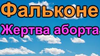 Фальконе. Большой секрет для маленькой компании