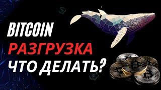 Bitcoin Киты на Разгрузке: Что это значит для Курса Криптовалюты?