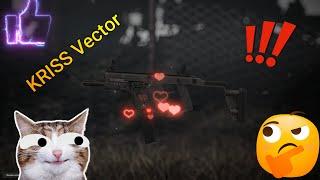 Обзор на ПП "KRISS Vector" Stalcraft X