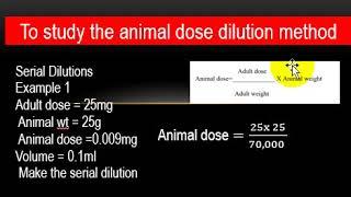 Animal dose and dilution calculation 2