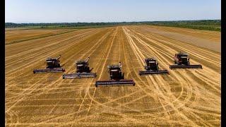 Wheat harvest on the Nova Buducnost doo estate, CASE IH AXIAL FLOW, Serbia 2024