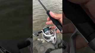 New Shimano Stradic C3000XG FM reel on Tatula rod,fluke combo?! #fishing #shimano #shorts #subscribe