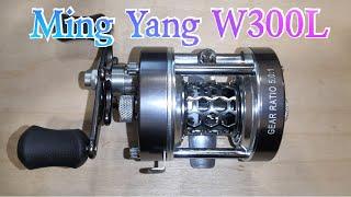 Ming Yang W300L #shorts