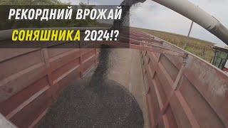 Рекордний врожай Соняшника 2024!!??