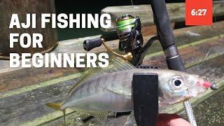 Aji Fishing Tutorial for Beginners | Micro Softbaiting Ajing for Jack Mackerel