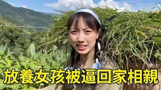 山間偶遇放羊美女，被母親逼回家相親，不看多有錢只看人品！ 【王一點】