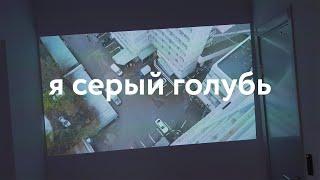 Выставка «Я серый голубь» в ШР