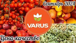 Обзор свежайших фруктов и овощей из Варус #varus #знижки