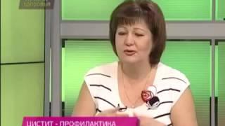 Профилактика цистита