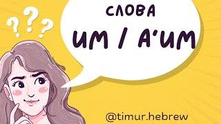 Не путай эти слова в ИВРИТЕ | Тимур Мильгром | @timur.hebrew