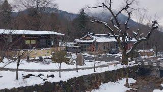 겨울여행(양산, 부산, 밀양, 충주)ㅣ경부선을 따라 여행해요