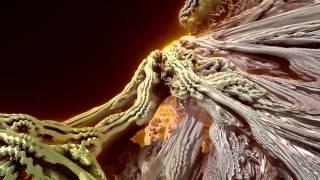 Mandelbulb Flight