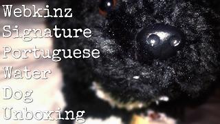 ; WEBKINZ SIGNATURE PORTUGUESE WATER DOG UNBOXING