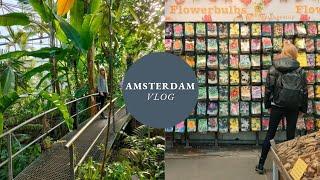 Visit Hortus Botanicus and the Flower Market in Amsterdam with Me | 17m2garden