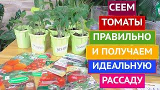 ВСЁ О РАССАДЕ ТОМАТОВ: КОГДА И КАК СЕЯТЬ, КАК ПРАВИЛЬНО УХАЖИВАТЬ!