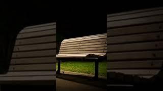 We Heard Screaming...| #truescarystory #horrorstory #shorts #storytime