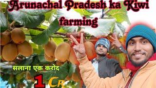 Kiwi Farming vlog | खेती का सही समय अब | Kiwi Fruit Farming | kiwi Plantation Timing | Full jankari