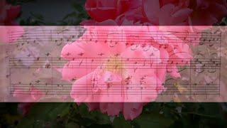 [128d] Violin and Piano (music score) by Gerald Spitzner