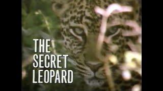 National Geographic: The Secret Leopard (1986)