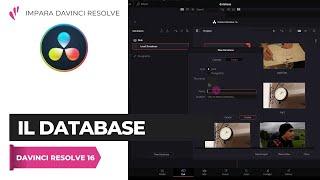 Il Database | Davinci Resolve ITA