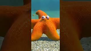 Meet 3D Ocean Friends - Sea Snail, Starfish & Stingray | Fun Sea Animals for Kids