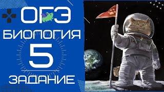 ОГЭ Биология 2020. Задание 5 Рохлов