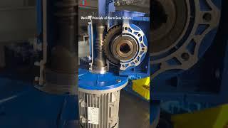Worm Gear Reducers Exposed: What You Need to Know!