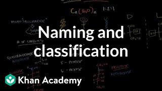 Carbohydrates - naming and classification | Chemical processes | MCAT | Khan Academy