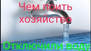 Воду отключили чем поить хозяйство как выйти из сложной ситуации