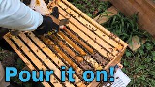 Don't Buy Bees! Baby Them! Nuc Follow Along Ep. 10 July 16-24