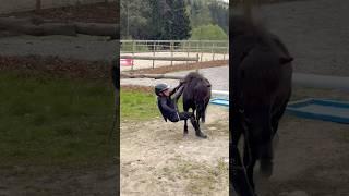 ELLA FELL OFF BLACK MANY TIMES #shorts #fail #pony #horse #equestrian