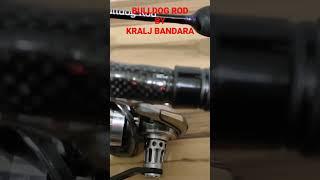 Bulldog Rod by Kralj Bandara Abu Garcia Zenon 1000 Daiwa Exist LT