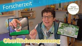 Wasseroberflächenspannung |  | einfache Experimente | für Zuhause | für Kinder | mit Wasser