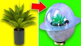 10 Easy DIY Plant Crafts